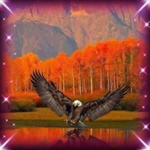 Meet your Posher, Gary